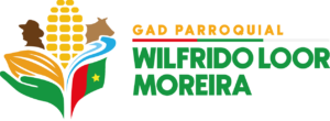 cropped logo transparente.png